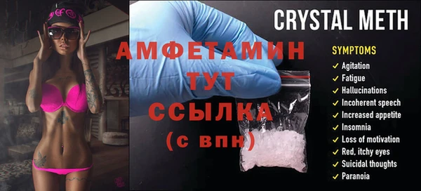 крисы Абаза