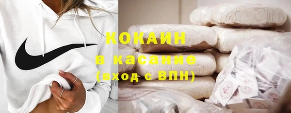 крисы Абаза