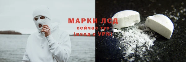крисы Абаза
